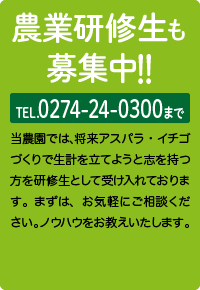 農業研修生も募集中 tel0274-24-0300