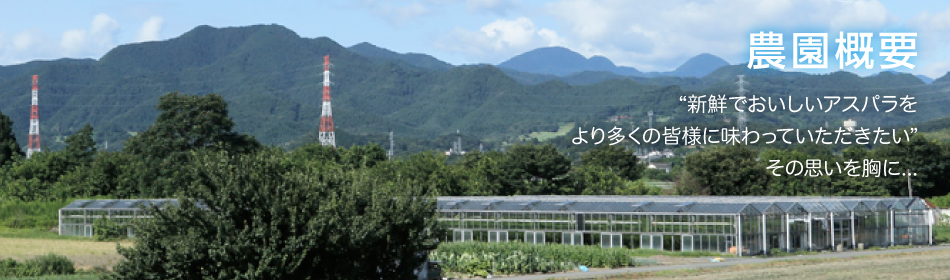 '新鮮でおいしいアスパラをより多くの皆様に味わっていただきたい'その思いを胸に…